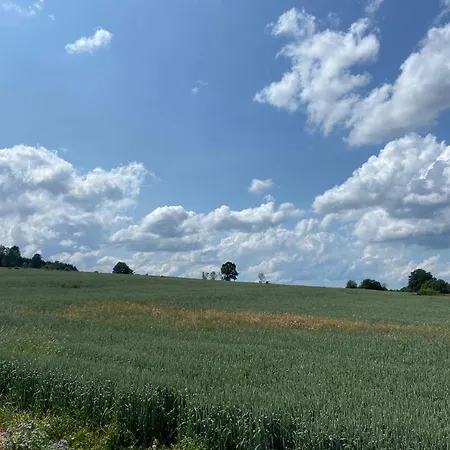 In With Private Garden *