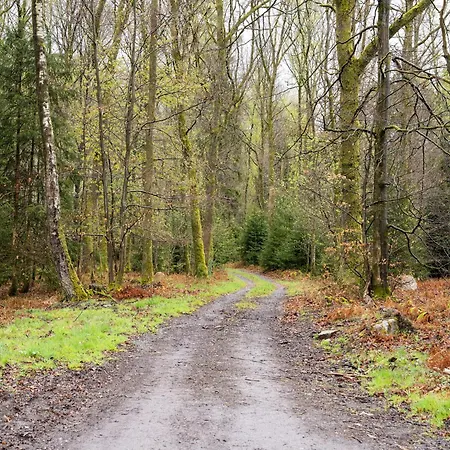 Hébergement de vacances In With Private Garden *