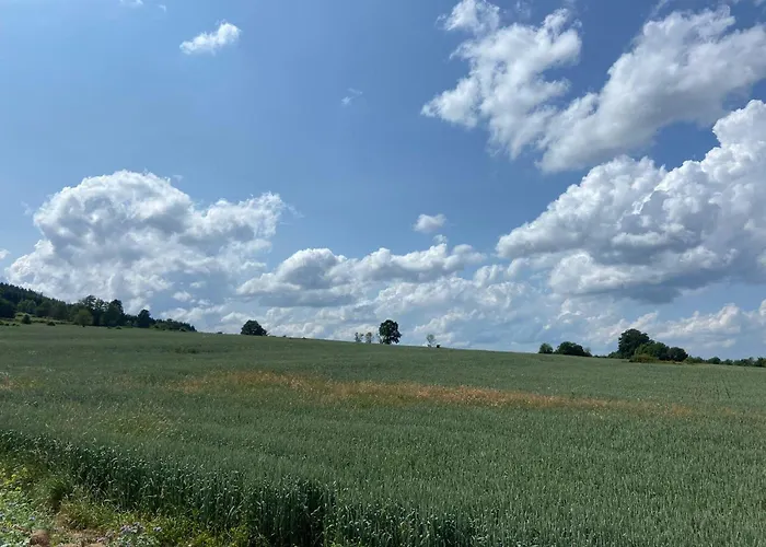 In With Private Garden *